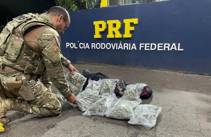 PRF apreende 4,5 kg de skunk em ônibus na BR-290 e prende traficante em Eldorado do Sul