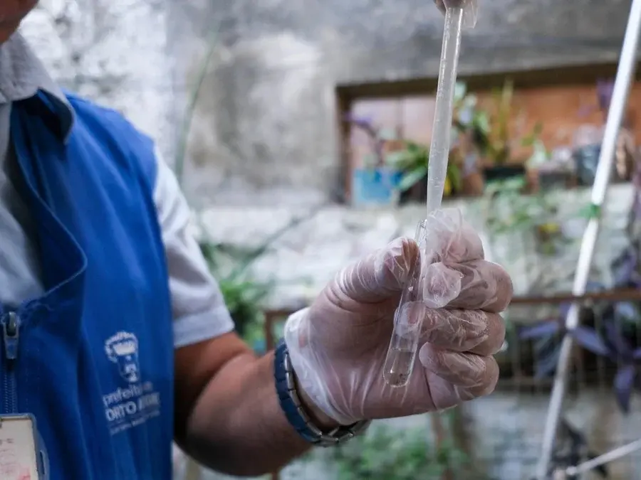 Começo de 2026 teve 10 vezes menos casos de dengue do que no mesmo período em 2025 no RS