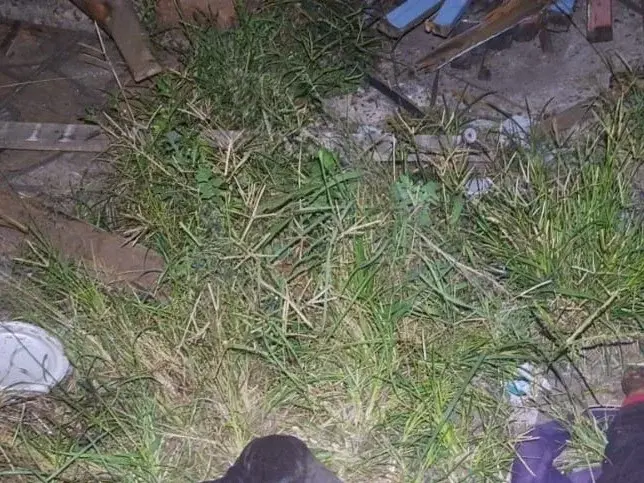 Homem é morto a pauladas no bairro Mathias Velho, em Canoas